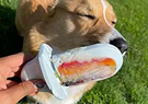  a dog licking an Ice Groov with frozen berries on it 