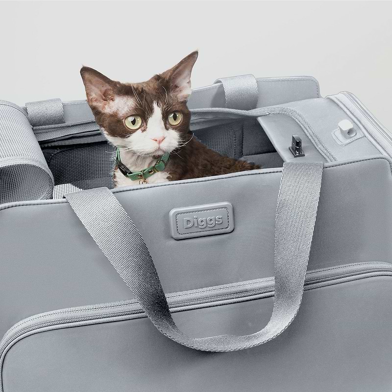 A brown and white cat sitting inside of a gray Passenger pet carrier bag