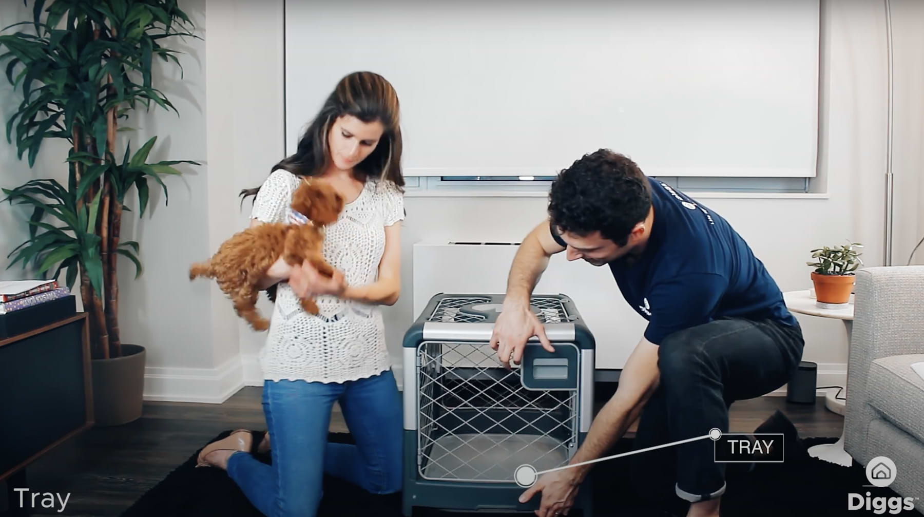 A photo of Zel and a model holding a dog demonstrating how to assemble the Small Revol Crate.