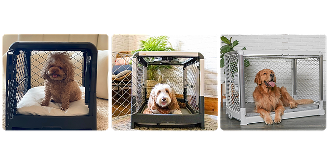  A collage of three pictures of dogs in their Revol crates 