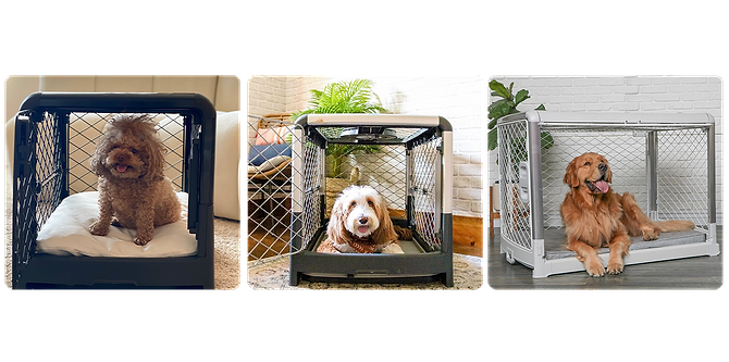 A collage of three pictures of dogs in their Revol crates