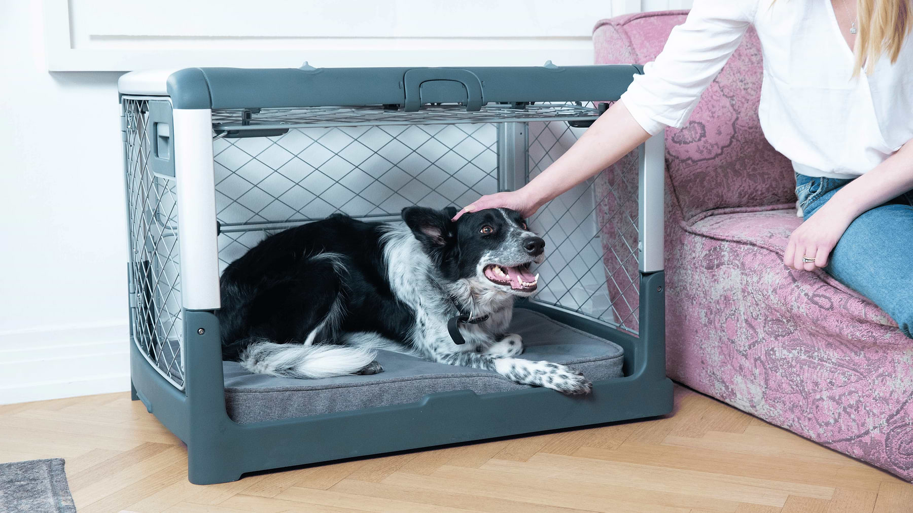  a woman petting a dog through the side door in its Revol crate 