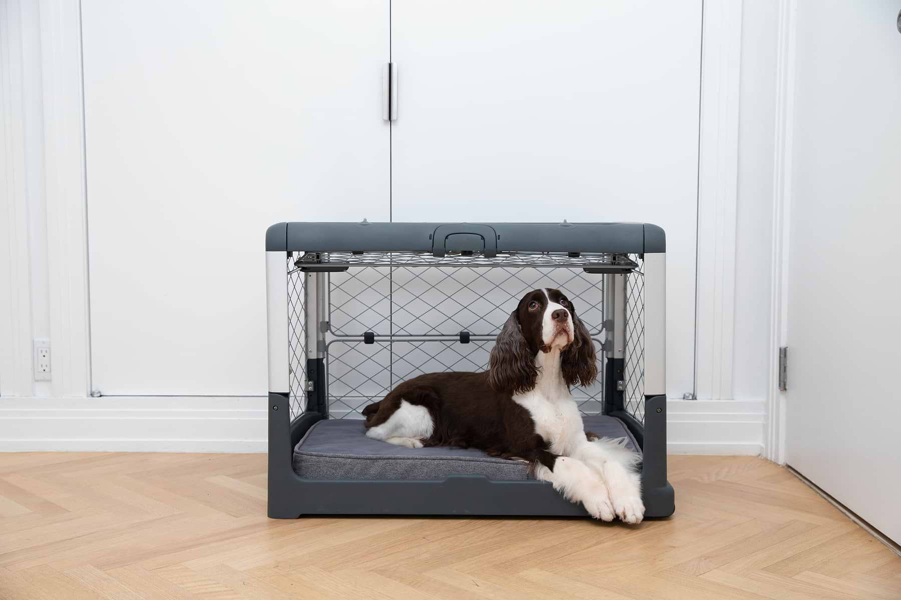 A dog lying on the Snooz Pad, inside an open garage door Revol Crate.