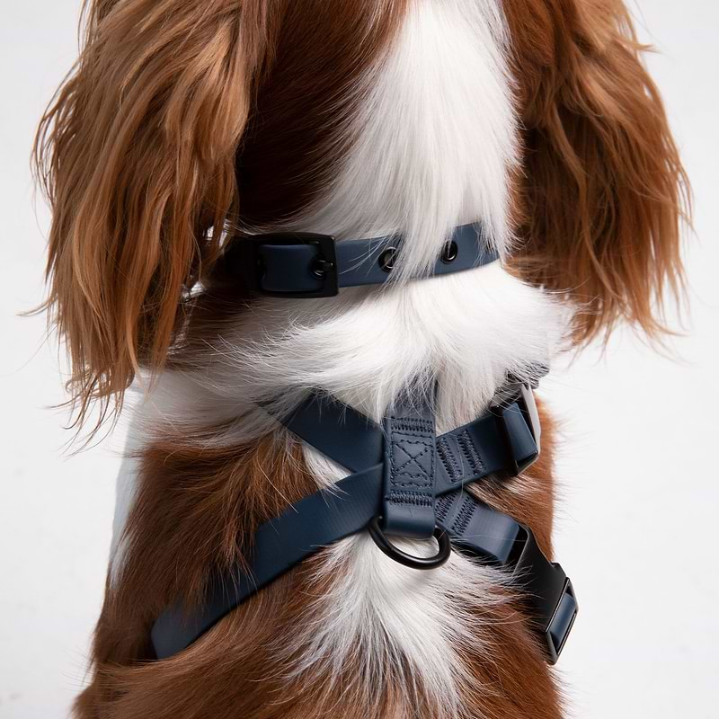 Harness Dog xSmall Navy Back