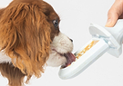  A brown and white dog eating out of a Groov training aid 