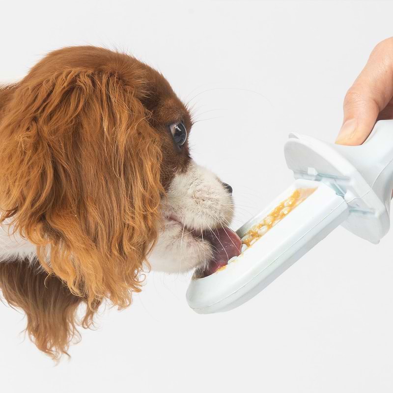  A brown and white dog eating out of a Groov training aid 