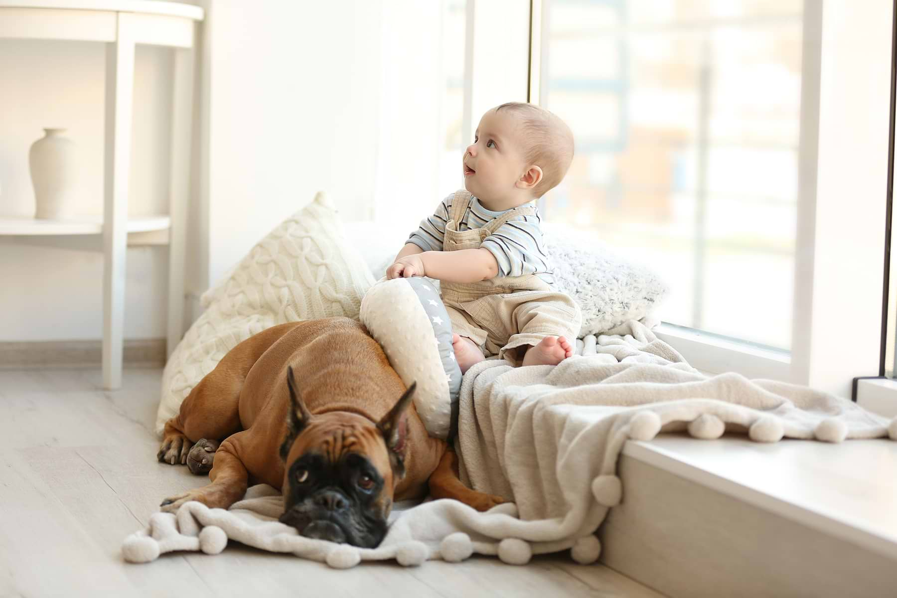  a baby sitting on a bed next to a dog 