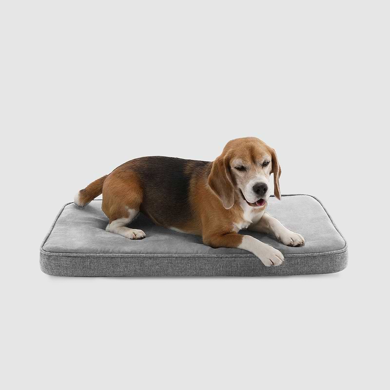 Snooz Revol Pad