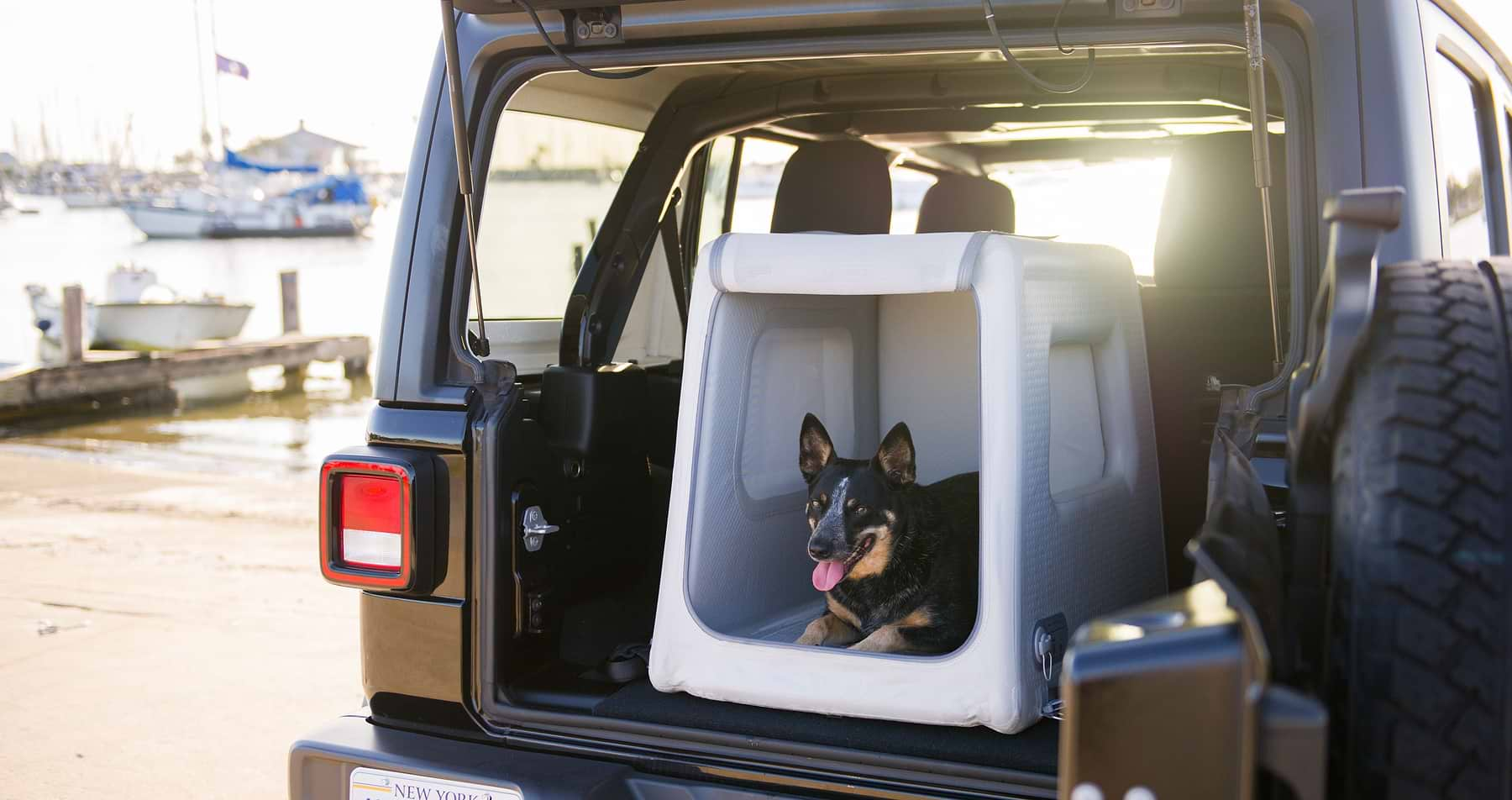  a dog in an open Enventur in the trunk of a car by a body of water 