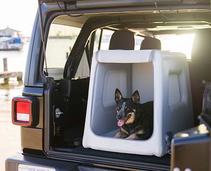  a dog in an open Enventur in the trunk of a car by a body of water 