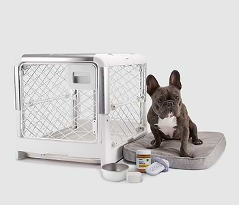  A dog sitting on a Snooz pad next to a Revol dog crate 