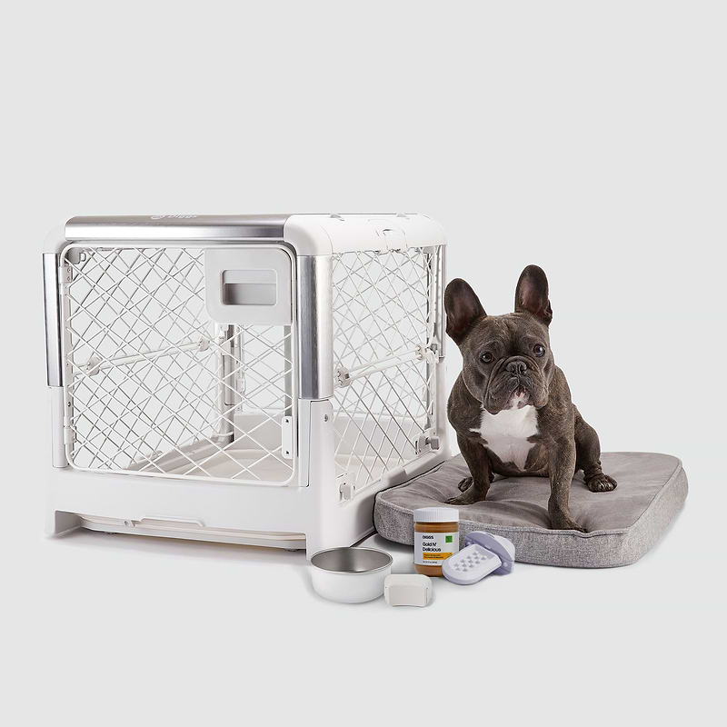 Crate training cheap regression puppy