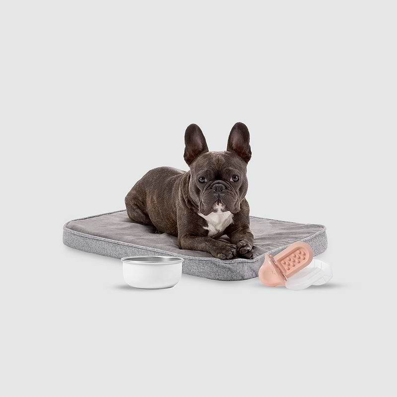 a small dog laying on top of a Snooz pad next to a bowl and groov