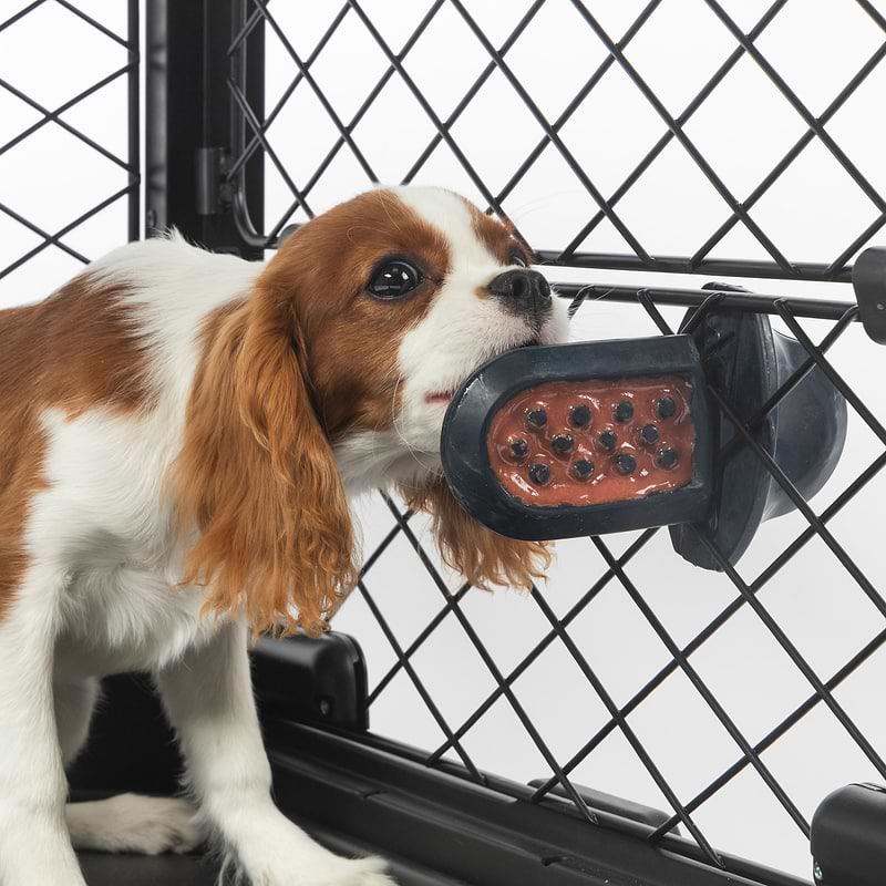 A dog enjoying its spread in the Groov Training Aid that is attached to the mesh of the Revol Crate.
