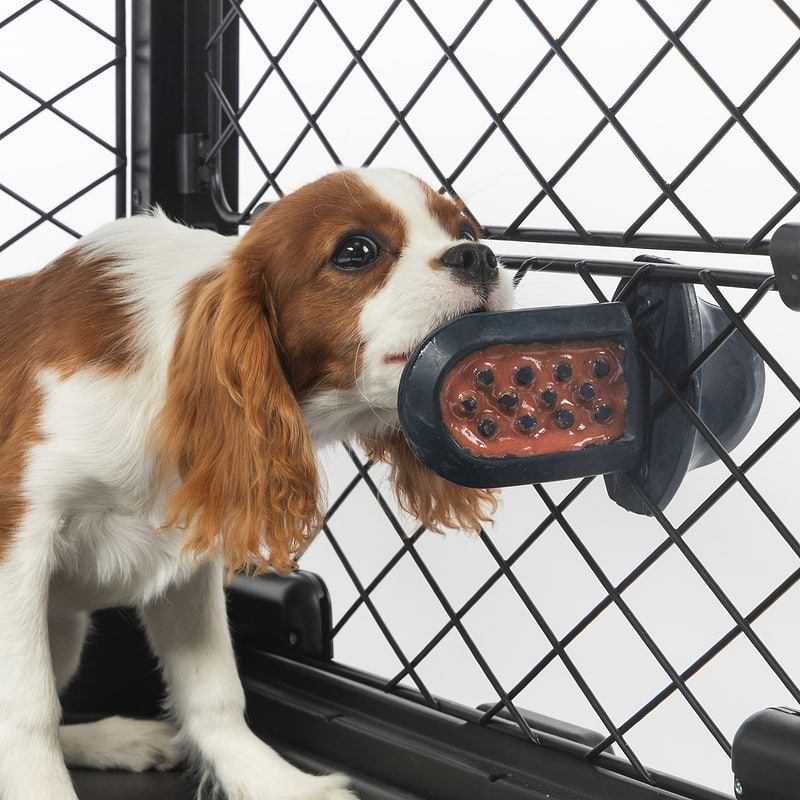 B and cheap m dog crates