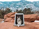  a dog sitting in an Enventur in the mountains 