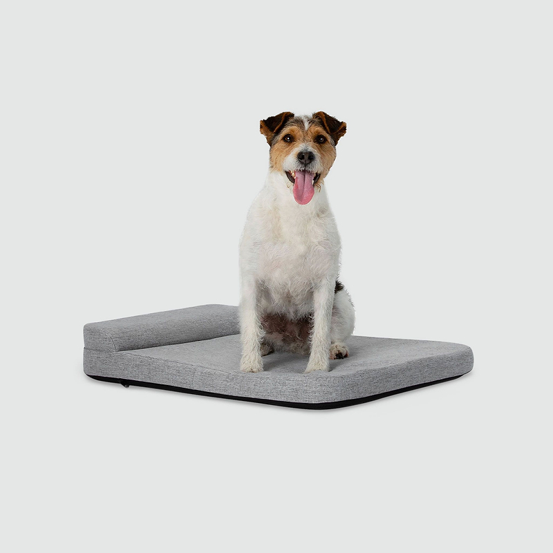 Perfect performance memory foam dog bed best sale