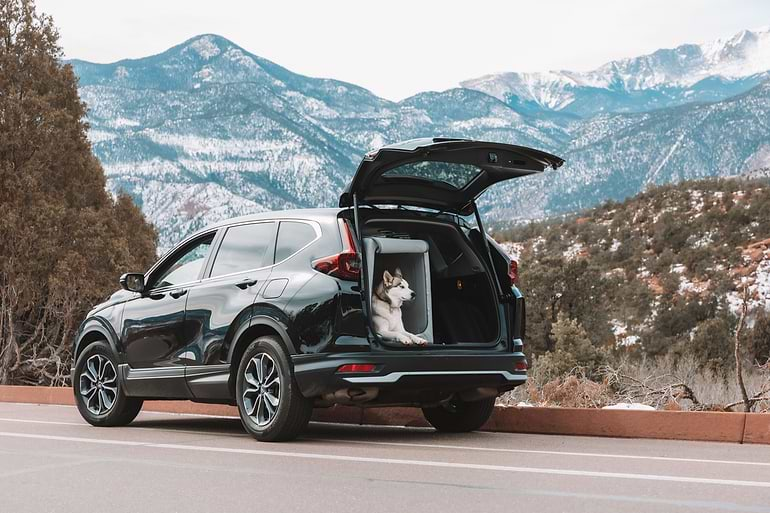  A dog sitting in an Enventur Kennel in the back of a black SUV 