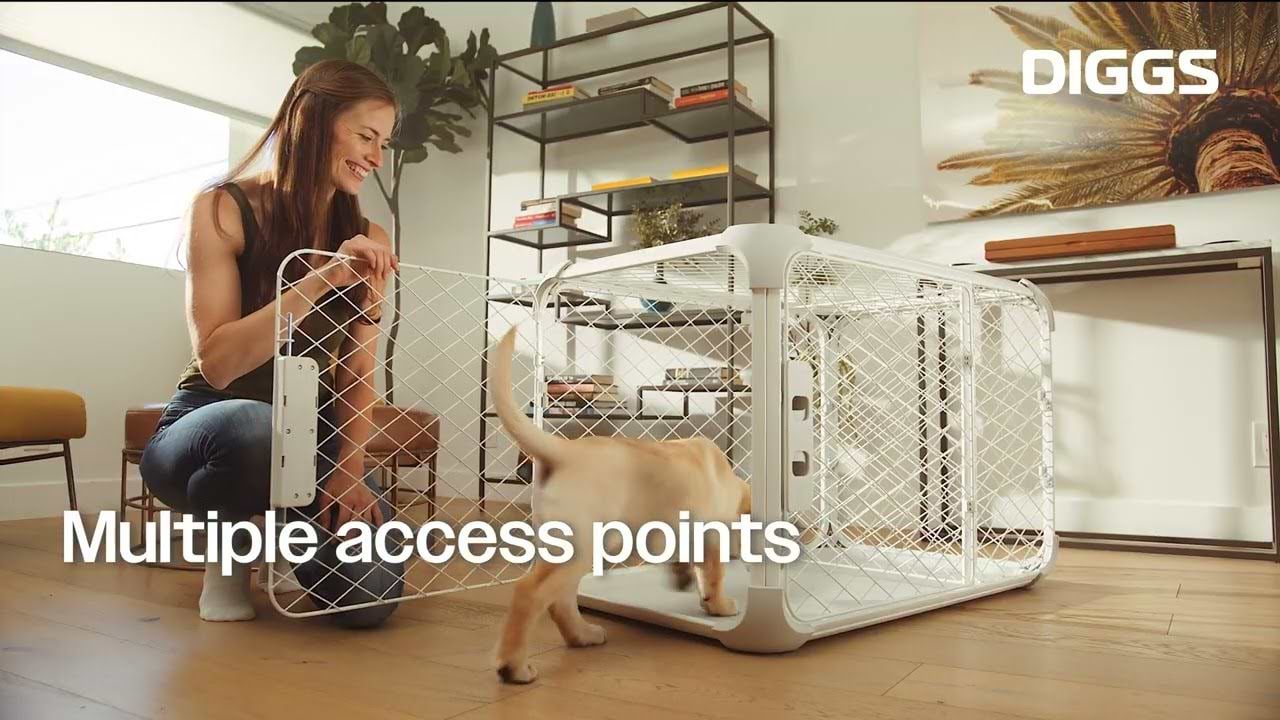 Woman next to a dog walking into an Evolv Dog Crate with the caption "Multiple access points"