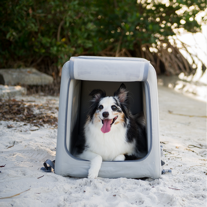 a dog sitting in an open Enventur kennel on the beach