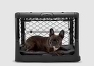 A brown dog laying in a black dog crate