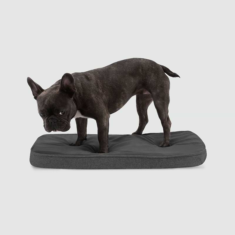 Best crate pad deals for puppies