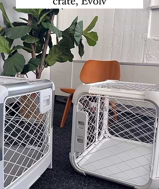  A couple of dog crates that are next to a plant 
