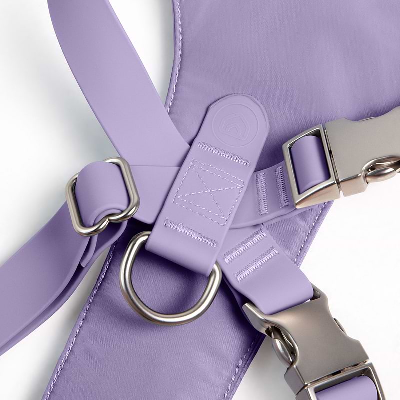 A closer look at the back of the Harness in Lilac.