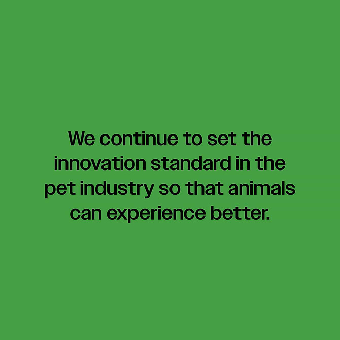  Green background with text: we continue to set the innovation standard in the pet industry so that animals can experience better 