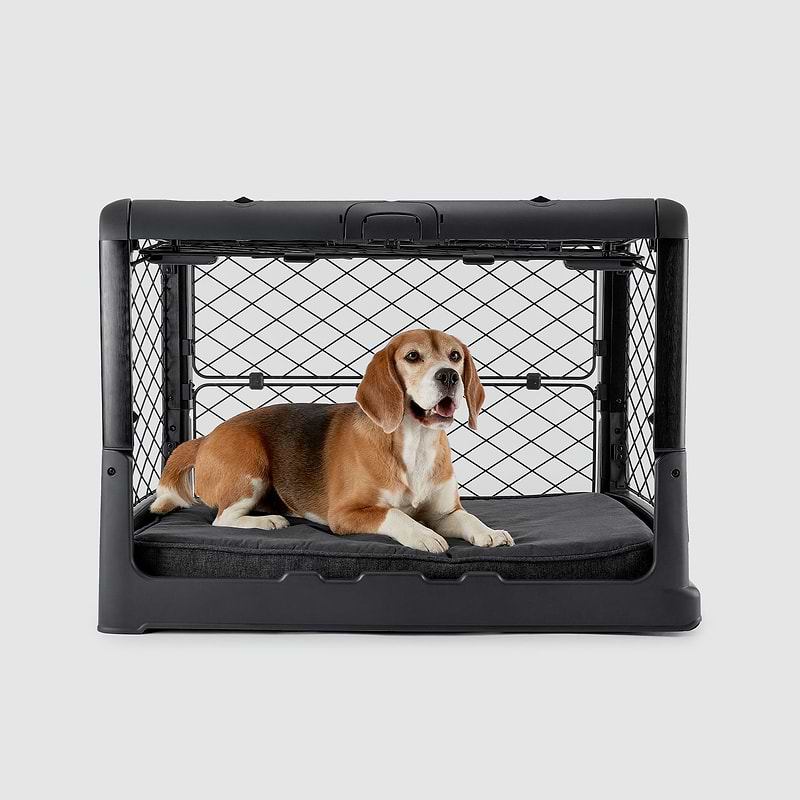 A dog laying on top of a dog crate