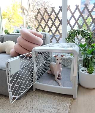  A small dog in a dog crate on the floor 