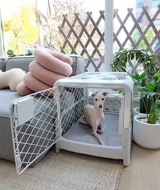 A small dog in a dog crate on the floor