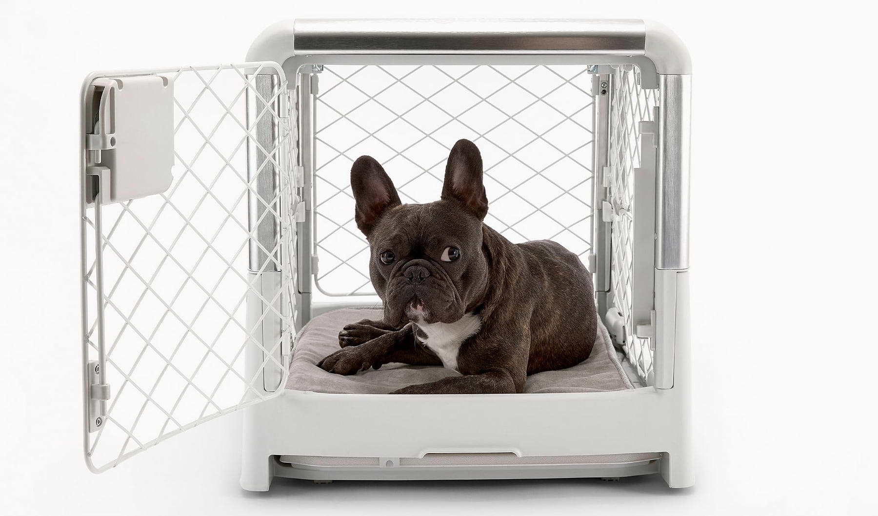  a dog laying in a small Ash Revol crate pictured from the front with the door open 