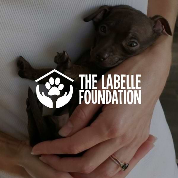  a woman holding a small dog in her arms with the words the labelle foundation 