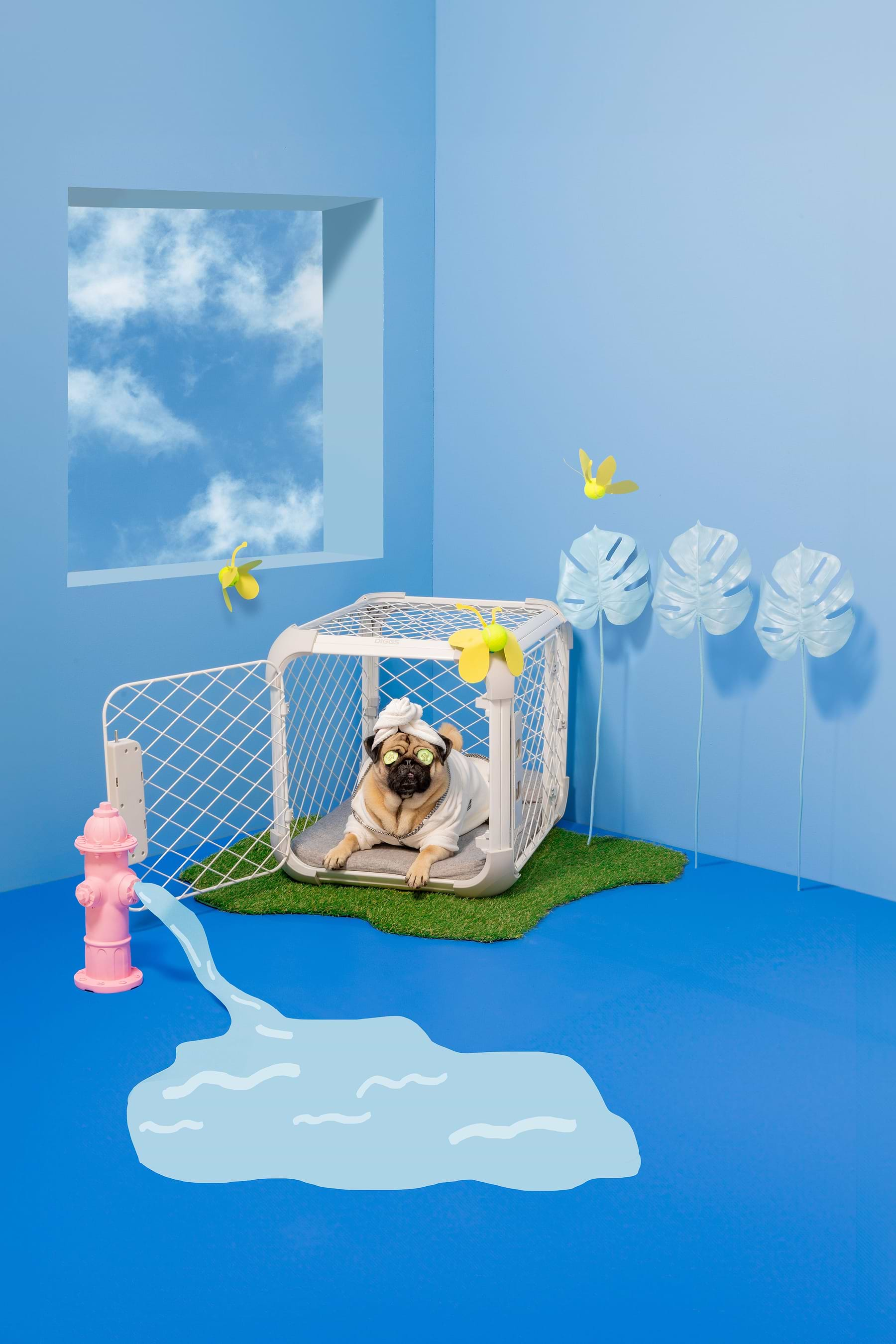  a small dog sitting in an Evolv crate surrounded by an cartoon blue room 