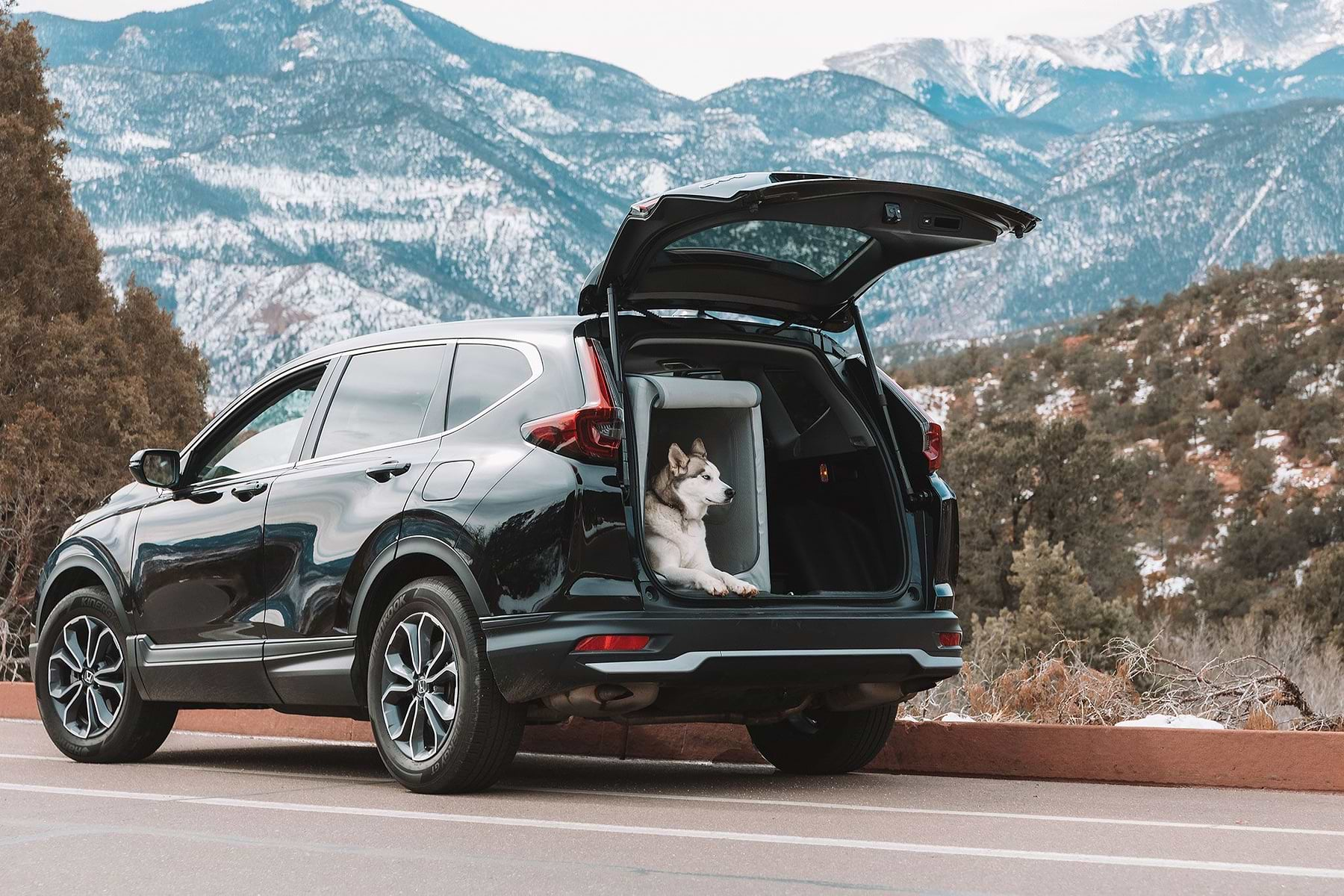  A dog is sitting in the back of a car in an Enventur Travel Kennel 