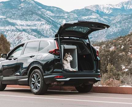  A dog is sitting in the back of a car in an Enventur Travel Kennel 