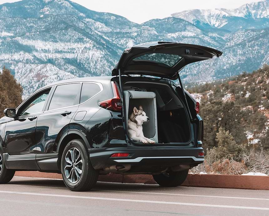 Image showcasing the collection Travel: A dog is sitting in the back of a car in an Enventur Travel Kennel 