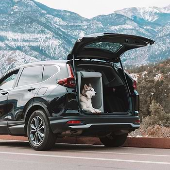 A dog is sitting in the back of a car in an Enventur Travel Kennel