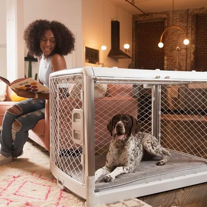  a woman sitting on a couch next to a dog in an open Ash Revol crate 