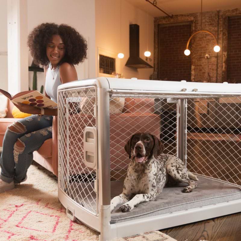 Safest dog crate top
