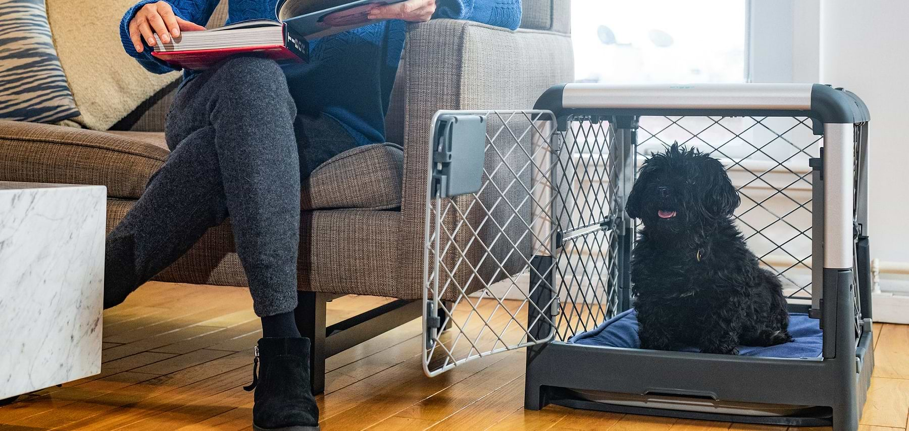  a woman sitting on a couch reading a book next to a black dog in a Revol crate 