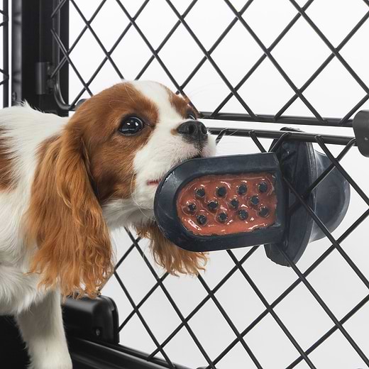 Best toy for puppy in crate shop