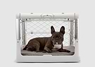 A small dog is sitting in a small dog crate