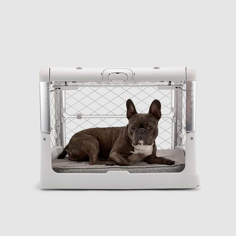 A small dog is sitting in a small dog crate