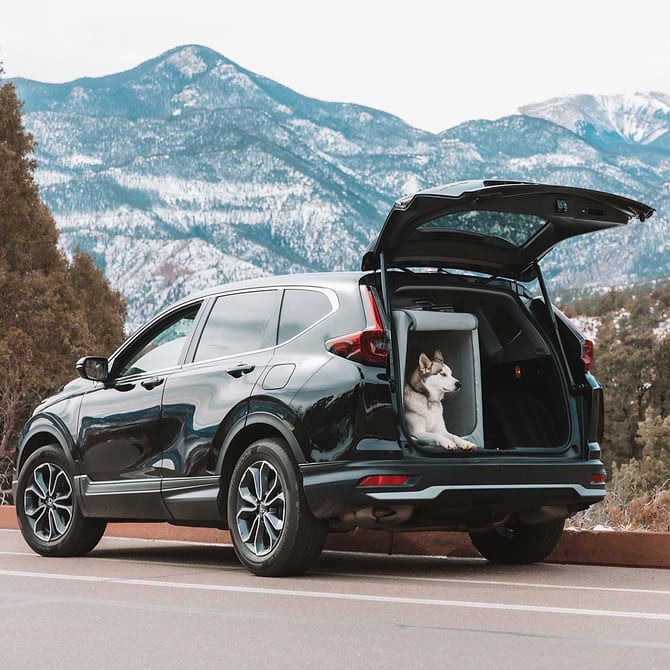  a dog sitting in an Enventur in the trunk of a SUV in the mountains 