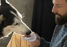 a man sitting on the ground holding a lilac groov that his dog is licking