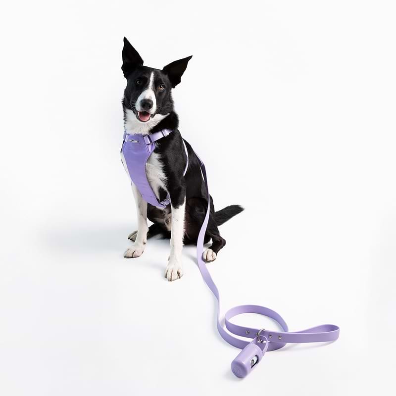 How to put on good2go harness hotsell