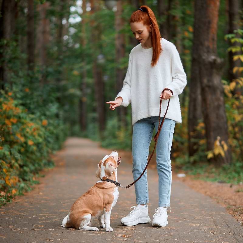Woman in the woods with her dog instructing it to sit with a hand gesture