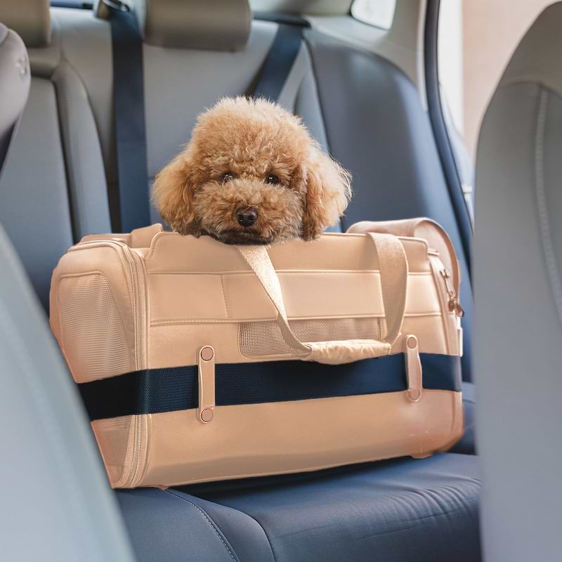 Dog carriers for car travel new arrivals